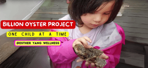 Billion Oyster Project